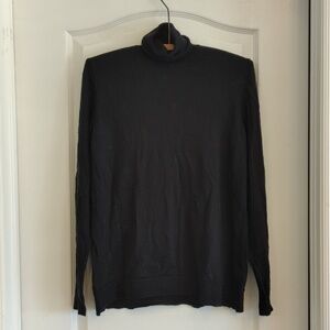 Marino Wool Turtleneck